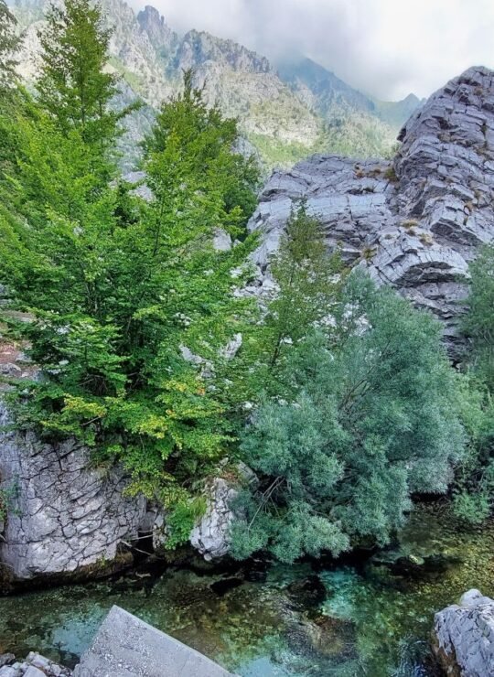 Tropoje